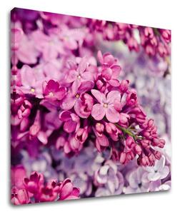Pictură murală FLOWERS KV048E12