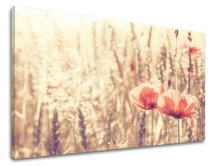 Tablouri canvas FLORI KV074E11