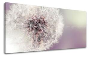 Tablouri canvas FLORI Panorama KV065E13