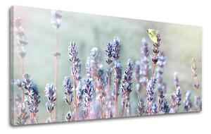 Tablouri canvas FLORI Panorama KV077E13