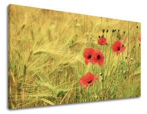 Tablouri canvas FLORI KV080E11