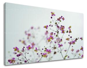 Tablouri canvas FLORI KV089E11