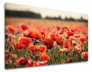 Tablouri canvas FLORI KV097E11