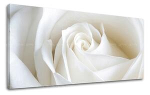 Tablouri canvas FLORI Panorama KV103E13