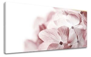 Tablouri canvas FLORI Panorama KV114E13