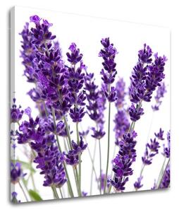 Pictură murală FLOWERS XOBKV128E12