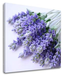 Pictură murală FLOWERS XOBKV122E12