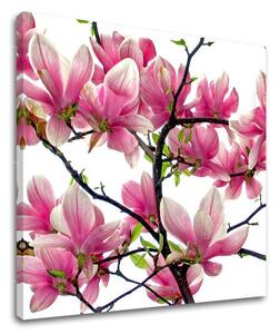 Pictură murală FLOWERS XOBKV132E12