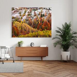 Canvas Autumn Colours