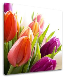 Pictură murală FLOWERS XOBKV138E12