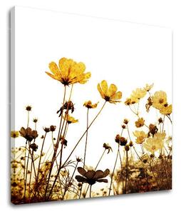 Pictură murală FLOWERS XOBKV143E12
