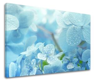Tablouri canvas ALBASTRE FLORI_152 - 11