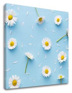 Tablouri canvas ALBE FLORI_163 - 12