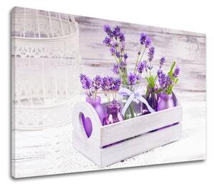 Tablouri canvas MOV FLORI_164 - 11