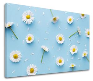 Tablouri canvas ALBE FLORI_163 - 11