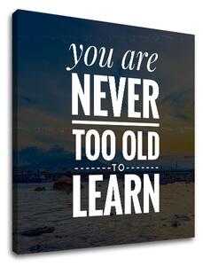 Tablou canvas motivațional You are never too old