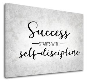 Tablou canvas motivațional About success_008
