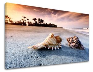 Tablouri canvas PLAJE PL024E11