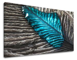 Tablouri canvas PLANTE RA007E11