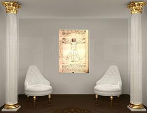 Tablouri VITRUVIAN MAN - Leonardo Da Vinci