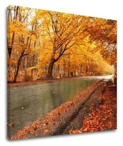Pictură murală TREES ST003E12