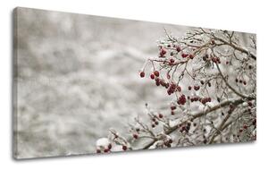 Tablouri canvas COPACI Panorama ST007E13