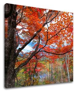 Pictură murală TREES ST012E12