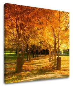 Pictură murală TREES ST020E12