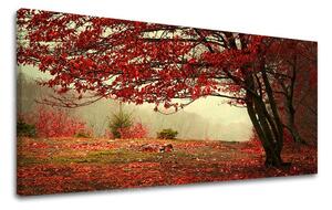 Tablouri canvas COPACI Panorama ST017E13