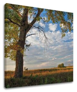 Pictură murală TREES ST016E12