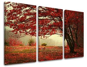 Tablouri canvas 3 - piese COPACI ST017E30