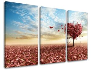 Tablouri canvas 3 - piese COPACI ST013E30