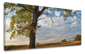Tablouri canvas COPACI Panorama ST016E13