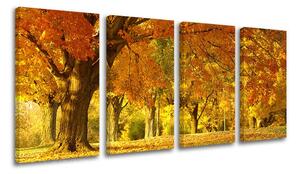 Pictură murală în 4 părți ARBORI ST027E41