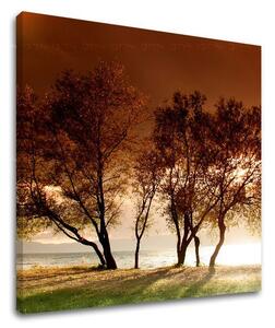 Pictură murală TREES ST026E12