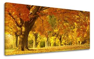 Pictură murală PANORAMA TREES ST027E13
