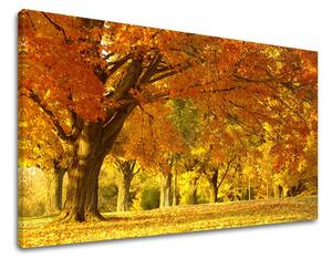 Pictură murală TREES ST027E11
