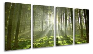 Pictură murală în 4 părți ARBORI ST021E41