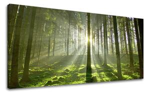 Tablouri canvas COPACI Panorama ST021E13