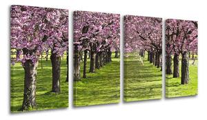 Pictură murală în 4 părți ARBORI ST023E41