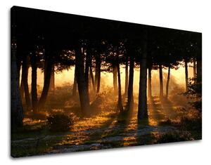 Tablouri canvas COPACI ST025E11