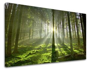 Tablouri canvas COPACI ST021E11