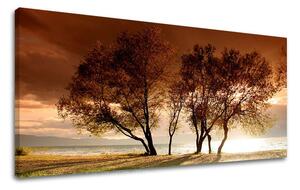 Tablouri canvas COPACI Panorama ST026E13