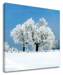 Pictură murală TREES ST028E12