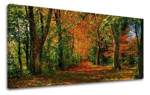 Tablouri canvas COPACI Panorama ST033E13