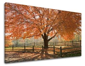Tablouri canvas COPACI ST030E11