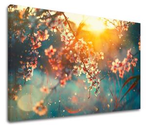 Tablouri canvas COPACI_037 - 11