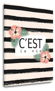 Tablouri canvas cu text C est la vie