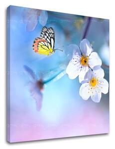 Tablouri canvas COPACI_035 - 12