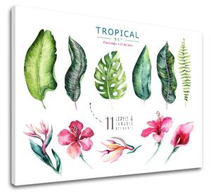 Tablouri canvas cu text Tropical set flamingo